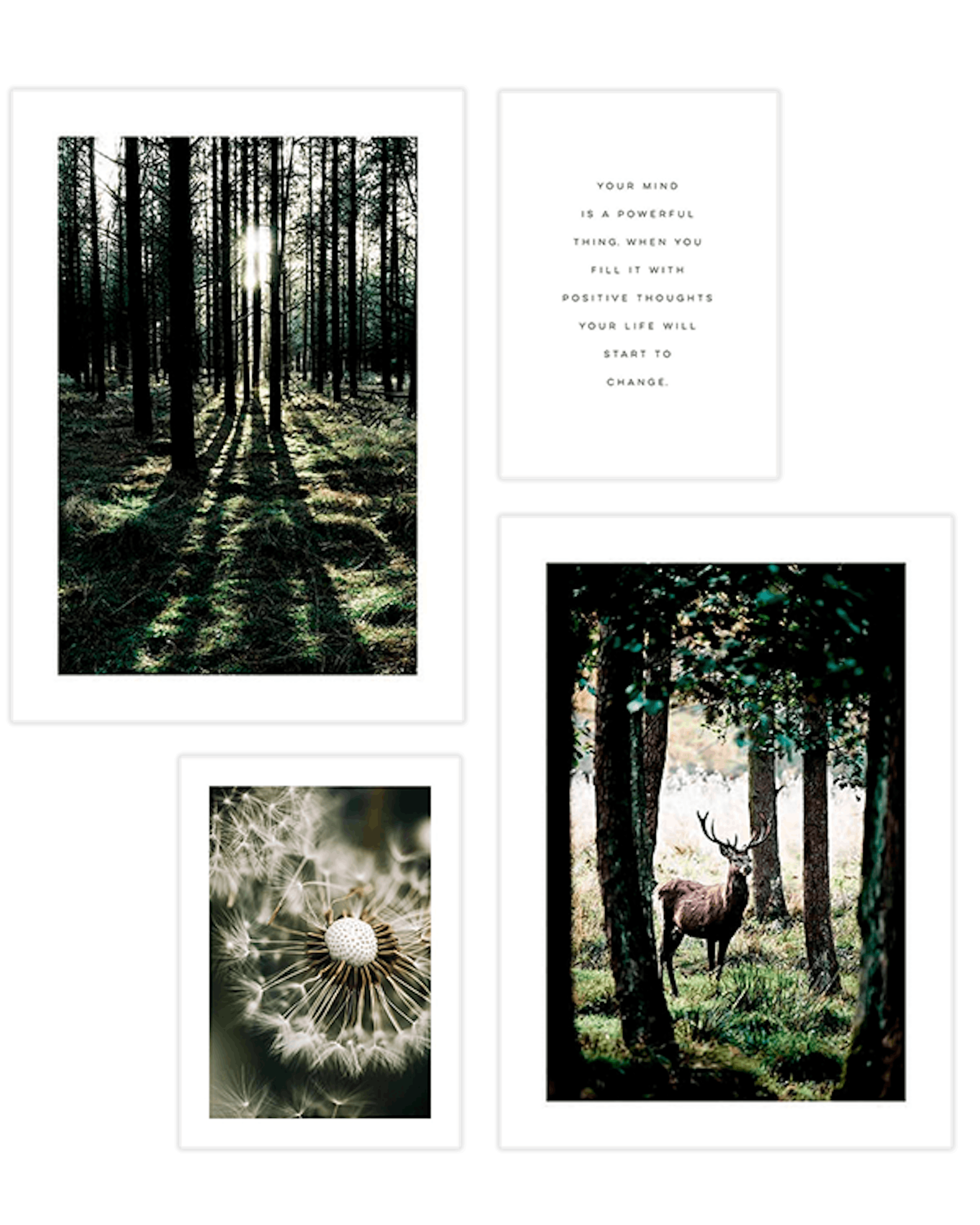 Beautiful Forest Collection Sady plagátov
