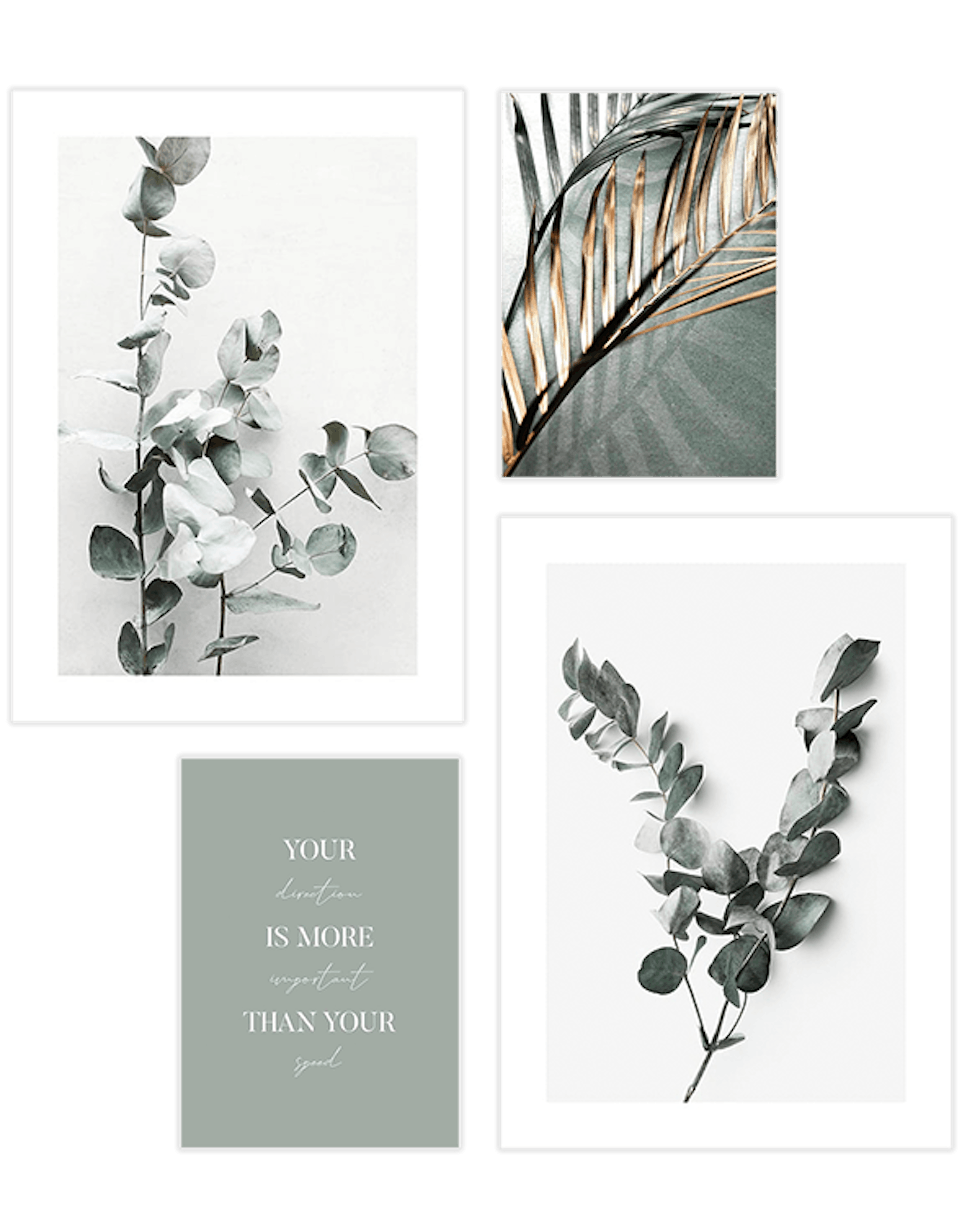 Botanical Green Collection Posterpaket
