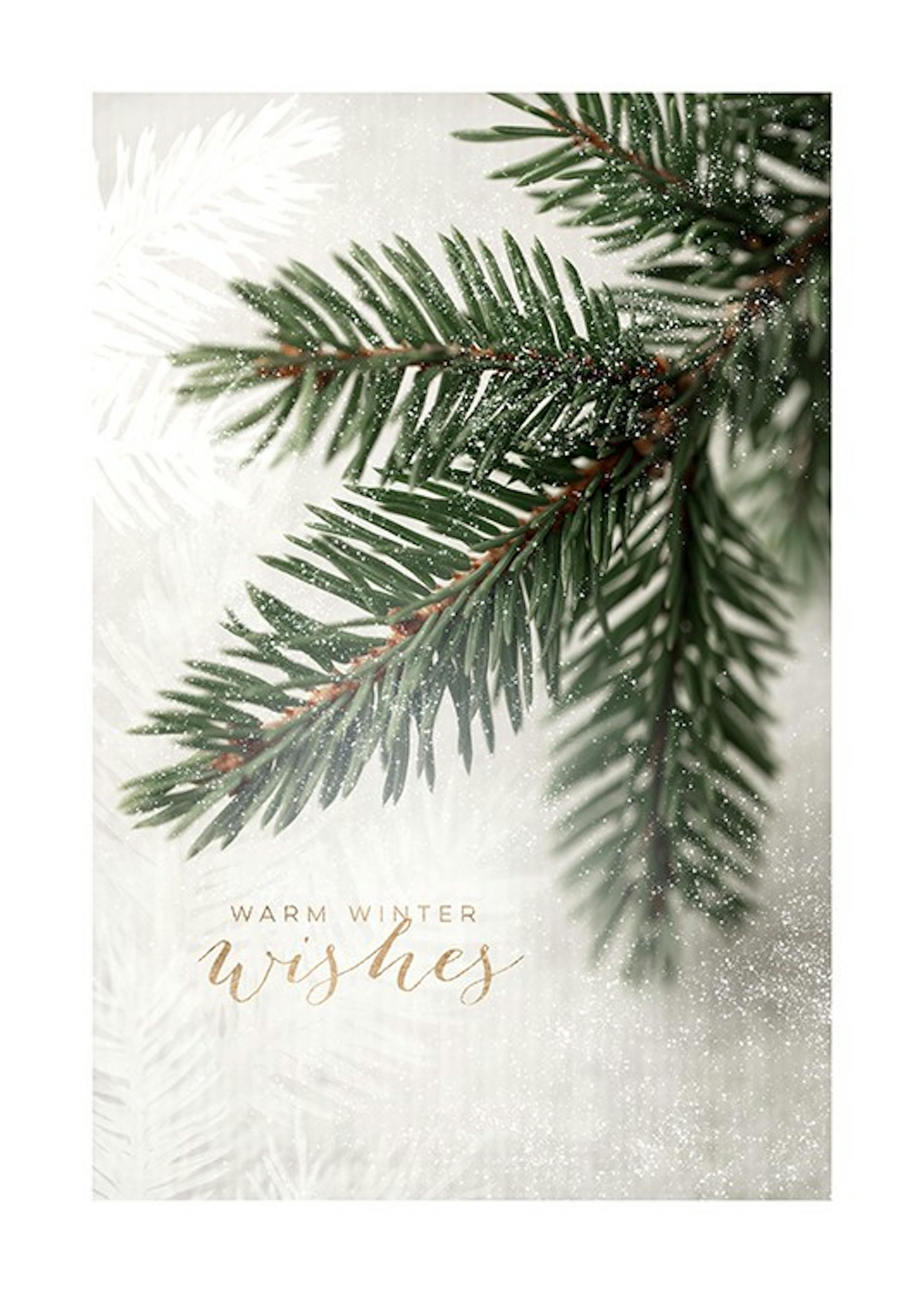 Evergreen Holiday Cards