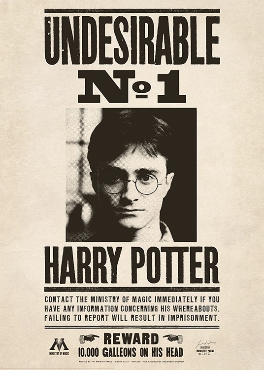 Potter Poster 