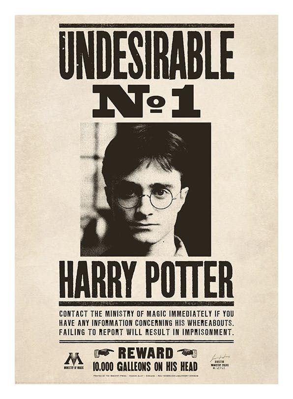 Harry Potter - Undesirable Poster (50x70 cm)- Harry Potter