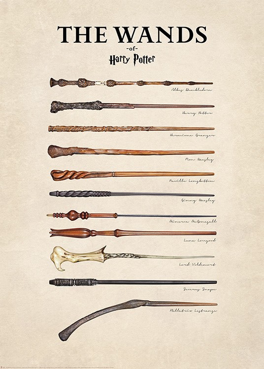 Harry Potter™ - The Wands Poster