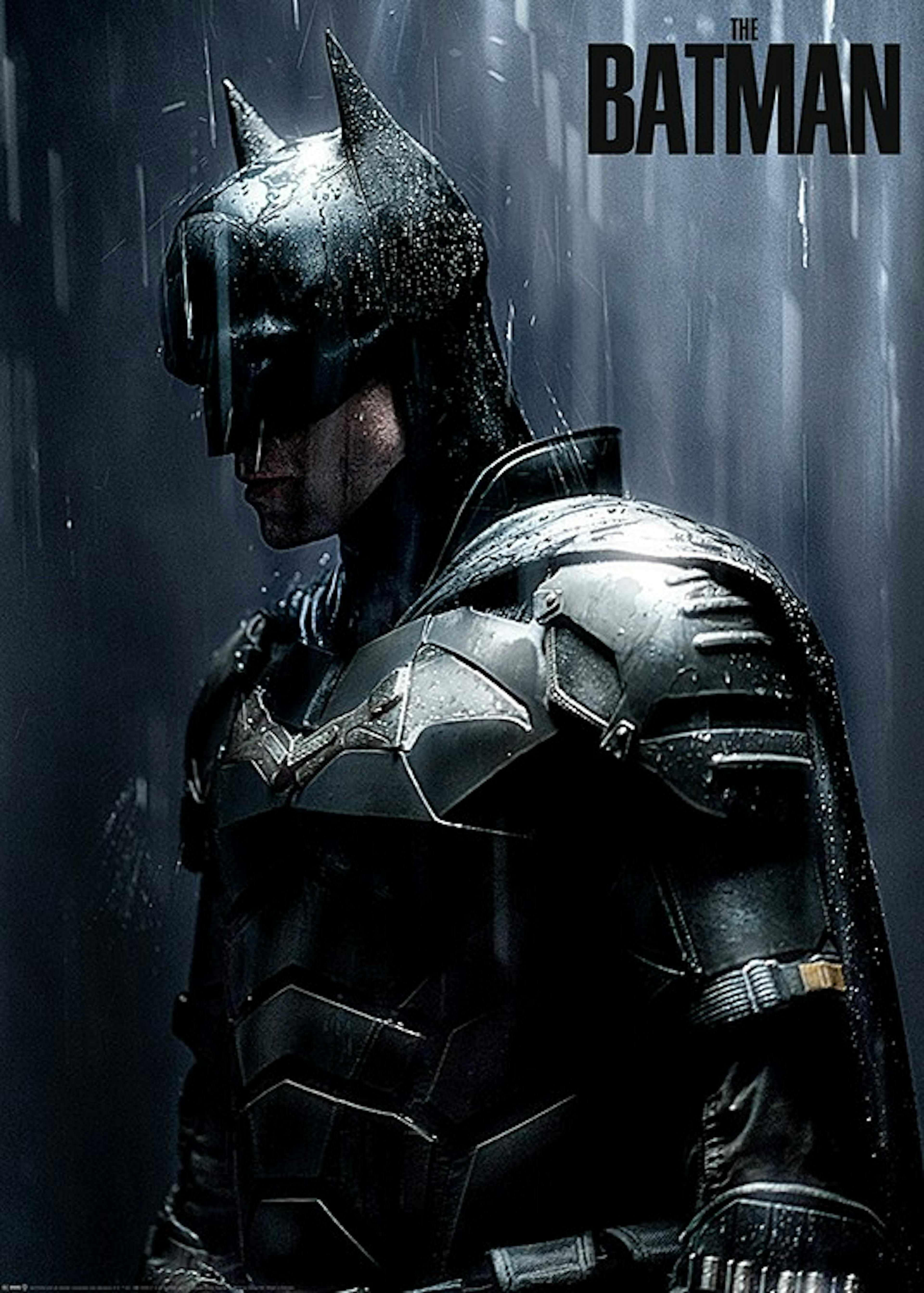 The Batman™ - Downpour Poster 0