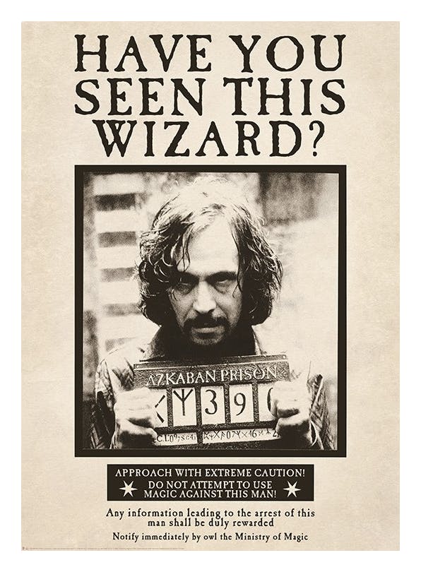 Harry Potter - Sirius Black Poster (30x40 cm)- Harry Potter