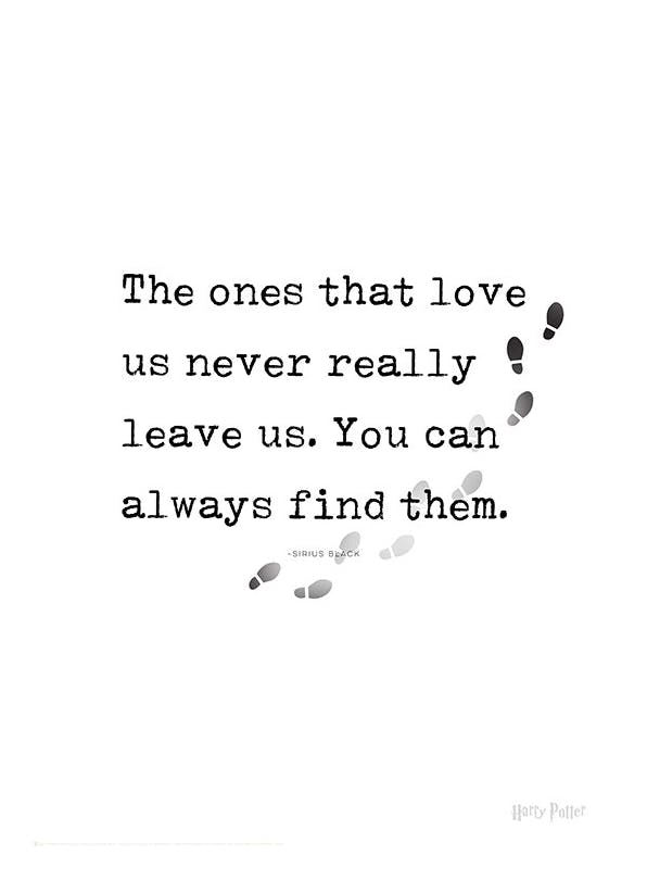Harry Potter - You Can Always Find Them Poster (30x40 cm)- Harry Potter