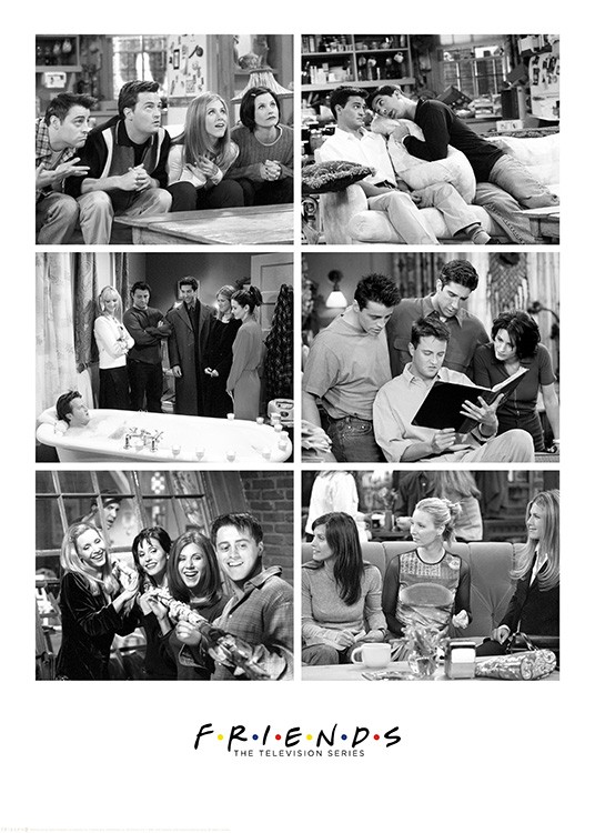 Friends™ - Photo Collage Affiche