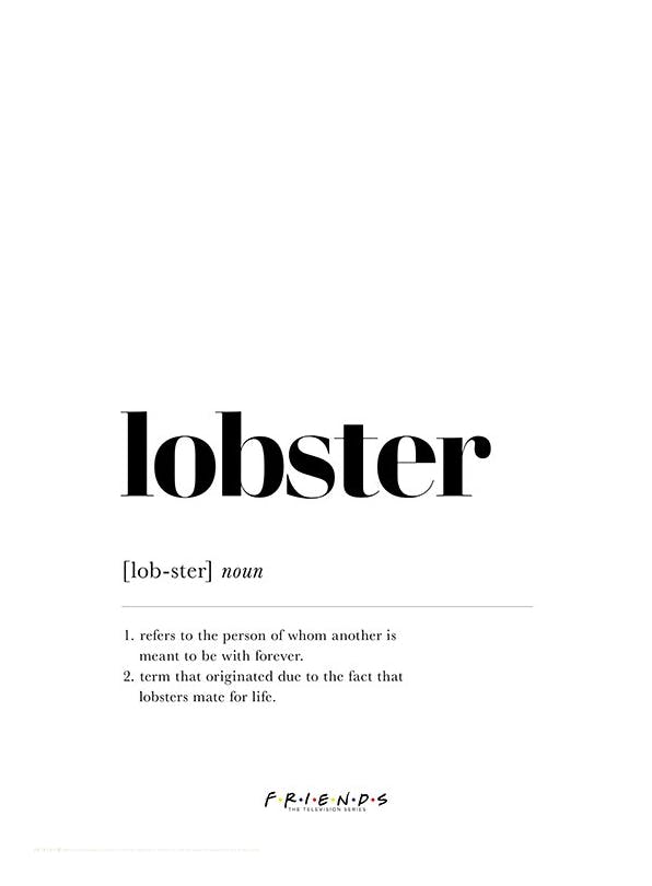 Friends™ - Lobster Definition Plakat (30x40 cm)- Plakaty typograficzne