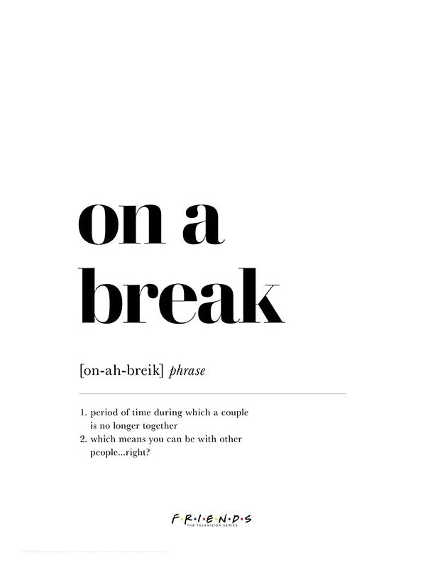 Friends™ - On a Break Definition Poster (50x70 cm) -  Typografie-Poster